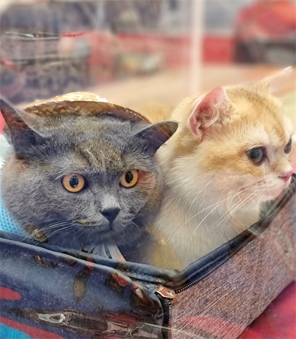 万利官网(中国)唯一官方网站