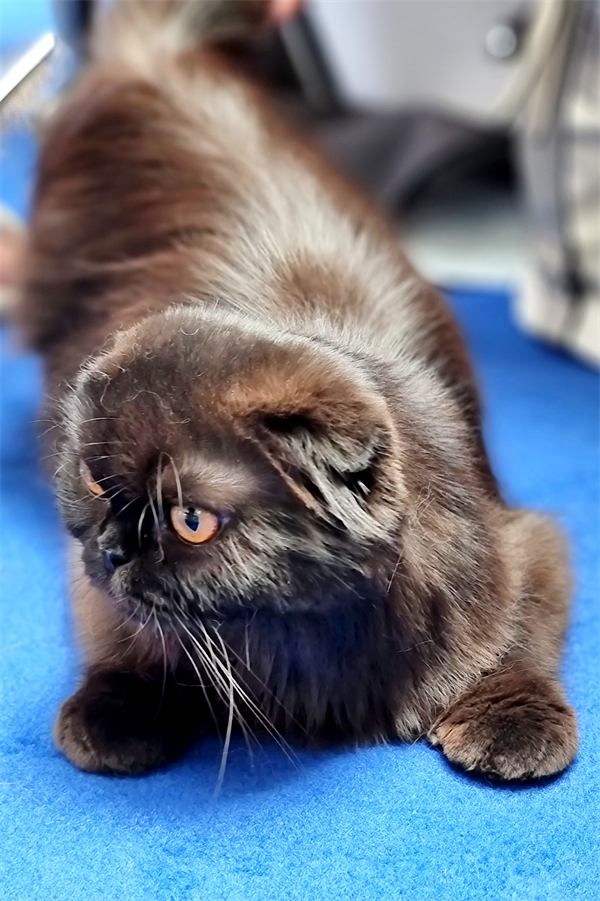 万利官网(中国)唯一官方网站