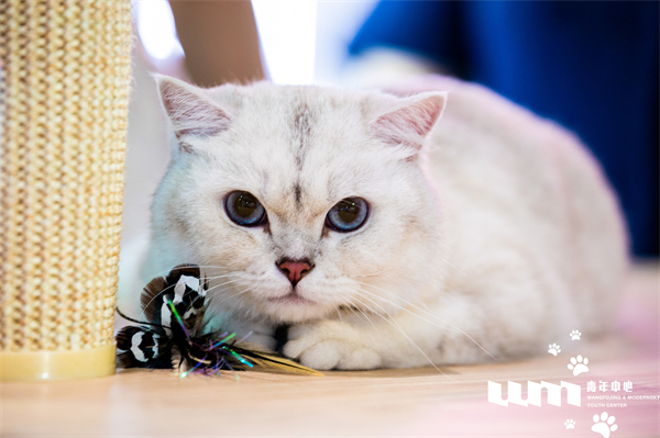 万利官网(中国)唯一官方网站