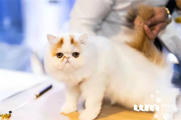 万利官网(中国)唯一官方网站