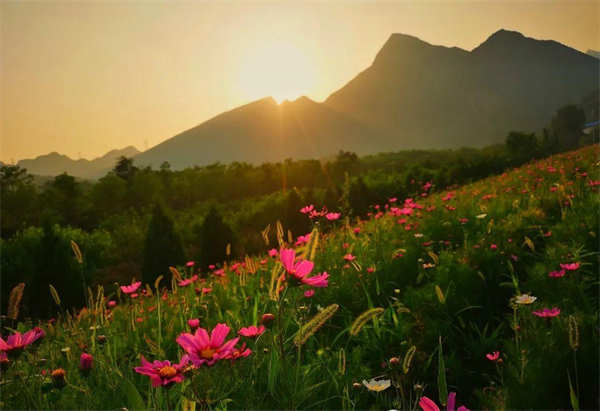 万利官网(中国)唯一官方网站