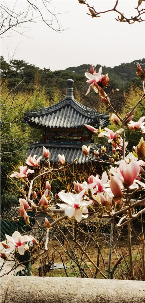 万利官网(中国)唯一官方网站