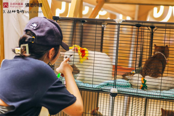 万利官网(中国)唯一官方网站