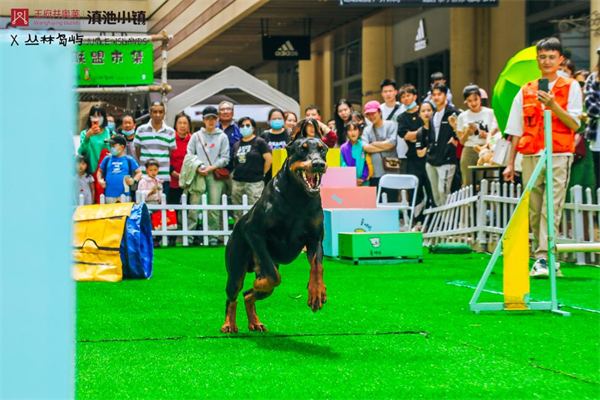 万利官网(中国)唯一官方网站