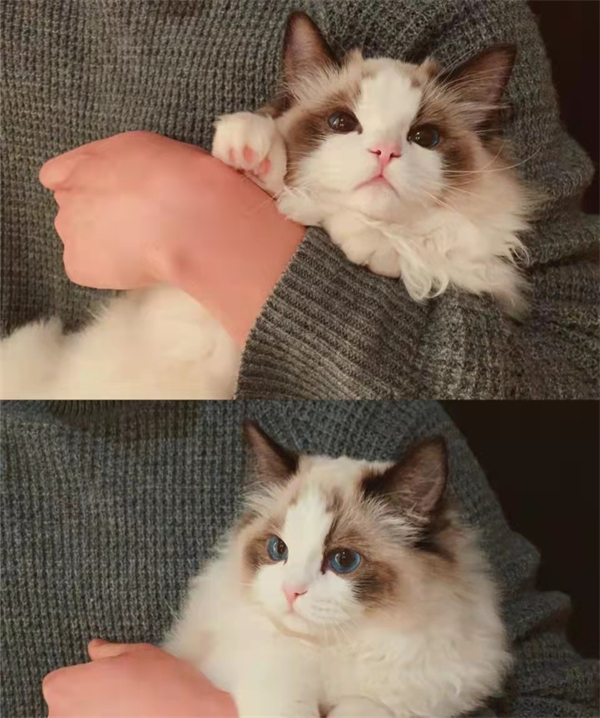 万利官网(中国)唯一官方网站